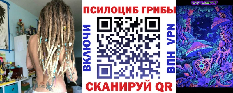 Купить  Курчалой  Псилоцибиновые грибы Magic Shrooms 