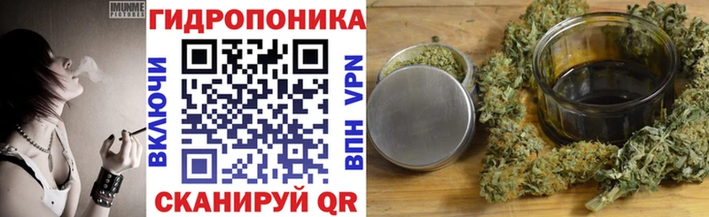 Купить где  Курчалой  Канабис ГИДРОПОН 